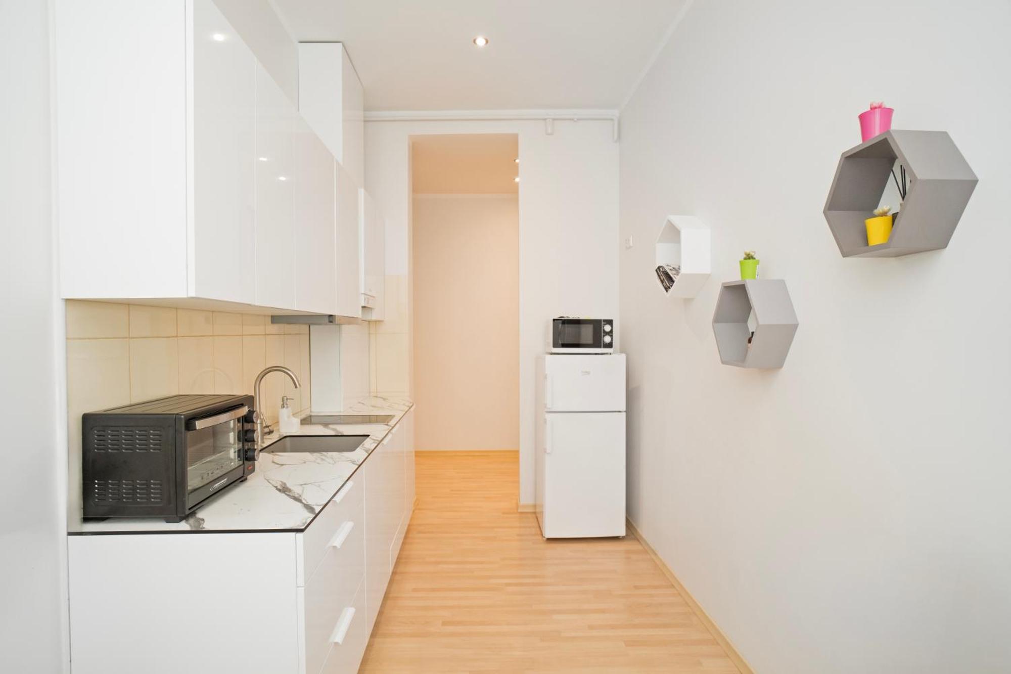Kaunas Castle Apartments - One Bedroom Flat エクステリア 写真